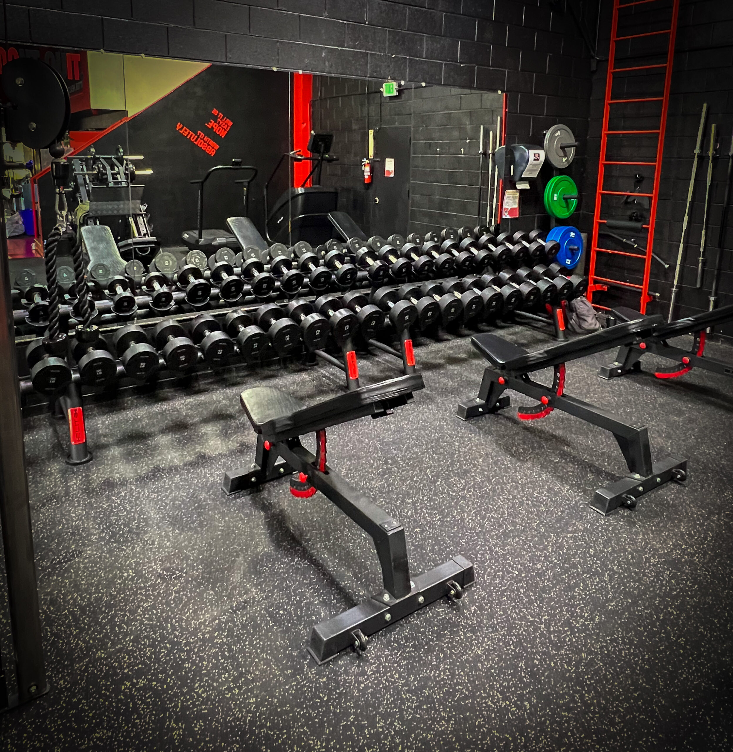 Best Dumbbells & Weight Sets for a Home Gym: Adjustable vs. Fixed