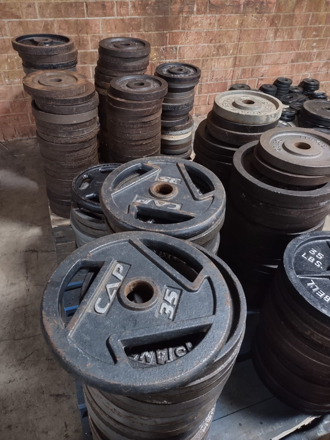 Olympic Weight Bench Guide: Choosing a Bench Press Bench for Barbell Training